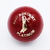 R66T Academy Cricket Ball - Platinum