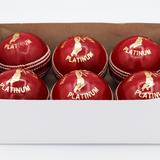R66T Academy Cricket Platinum Ball Briefcase