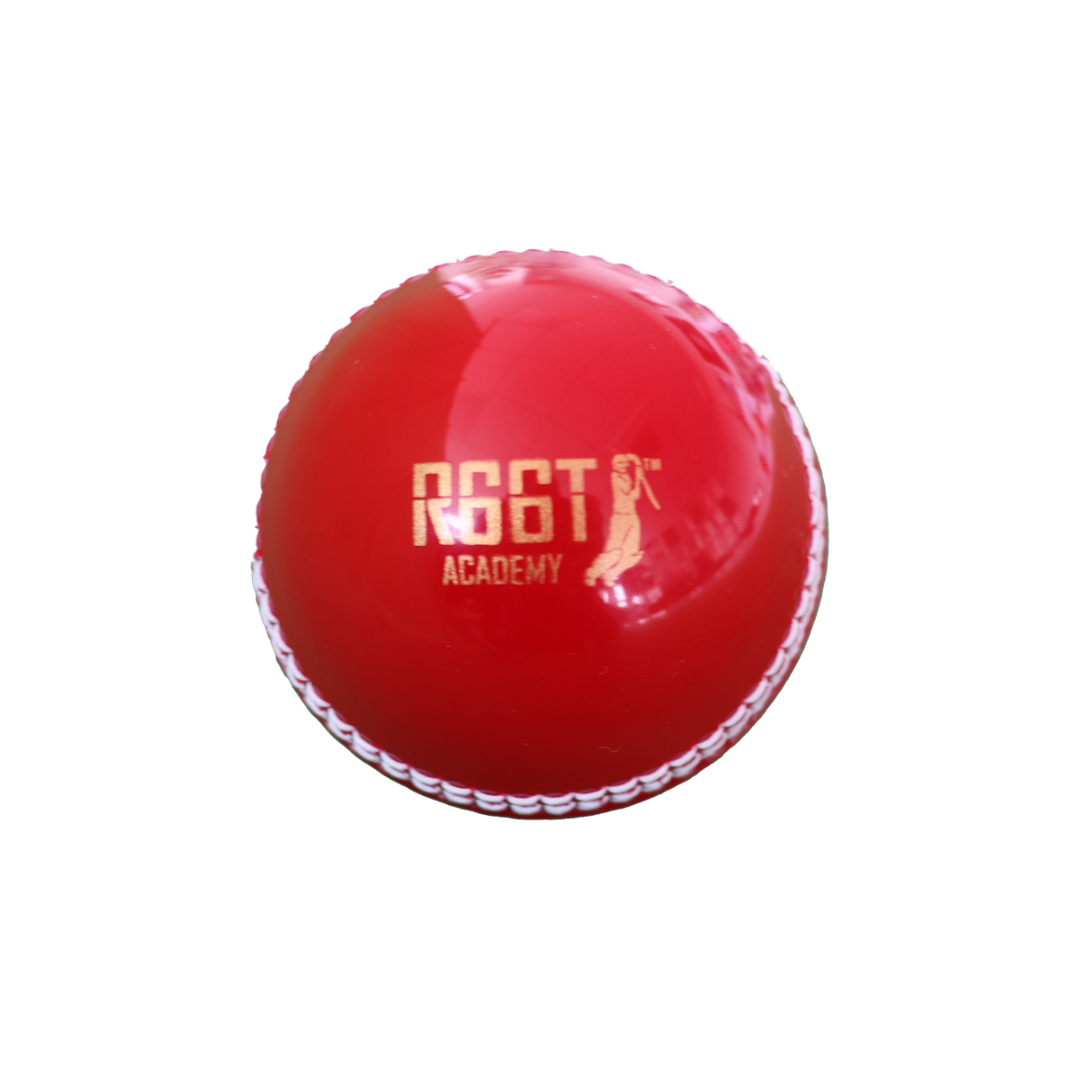 R66T Academy Cricket Skill Ball