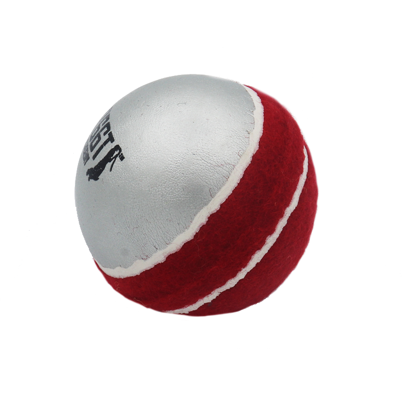 R66T Academy Swing Cricket Ball