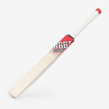 R66T Academy Cricket Ball Launcher Bundle