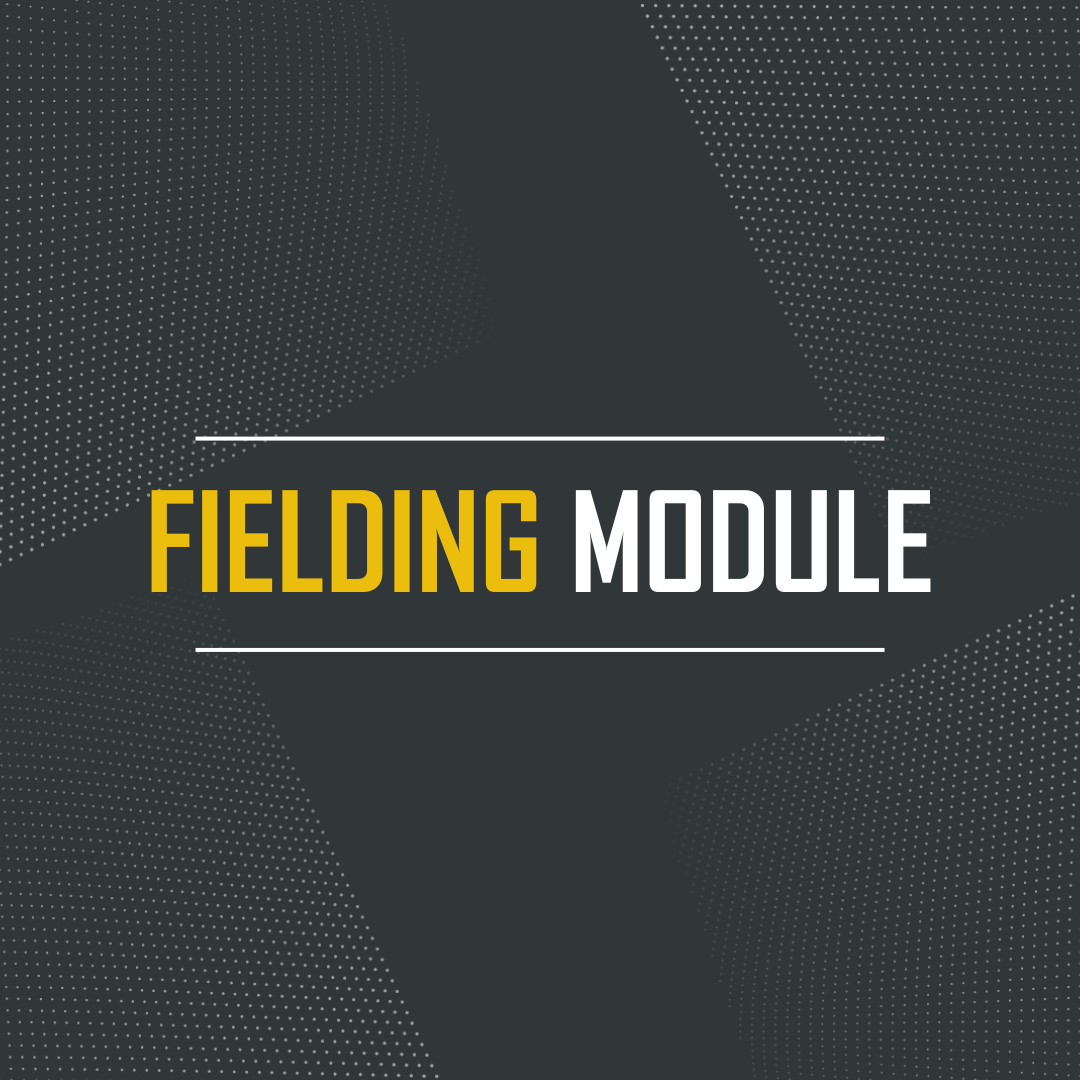 Fielding Module: Level 3 Diploma